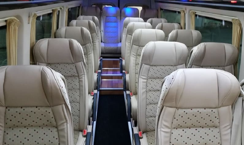 Poland: Coach company in Poland in Poland and Santa Cruz