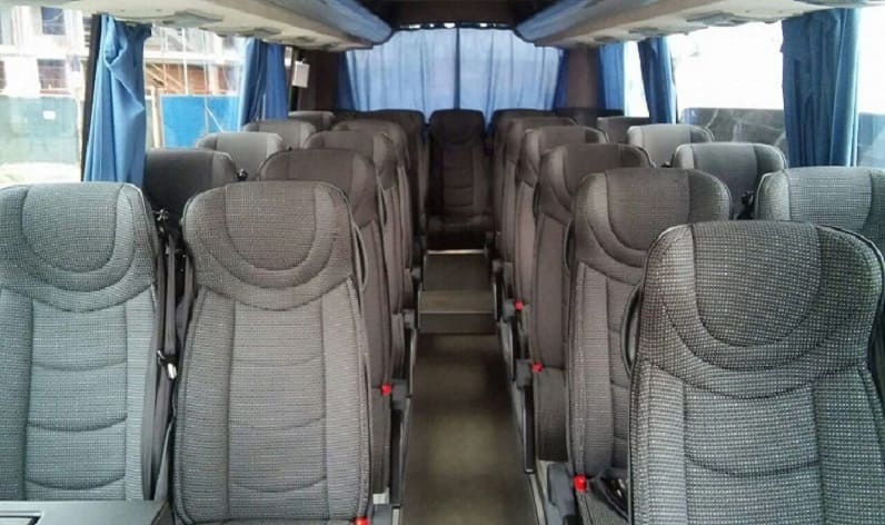 Poland: Coach hire in Silesian in Silesian and Wodzisław Śląski